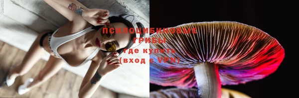 бошки Заволжье