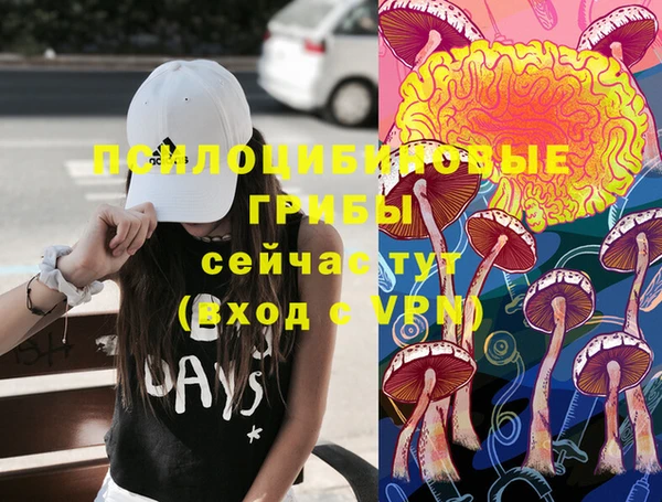 бошки Заволжье