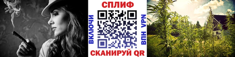 Купить где  Кукмор  МАРИХУАНА планчик 